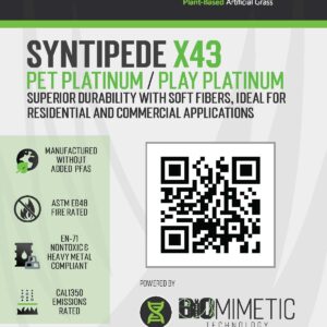 PLAY Platinum (2026)