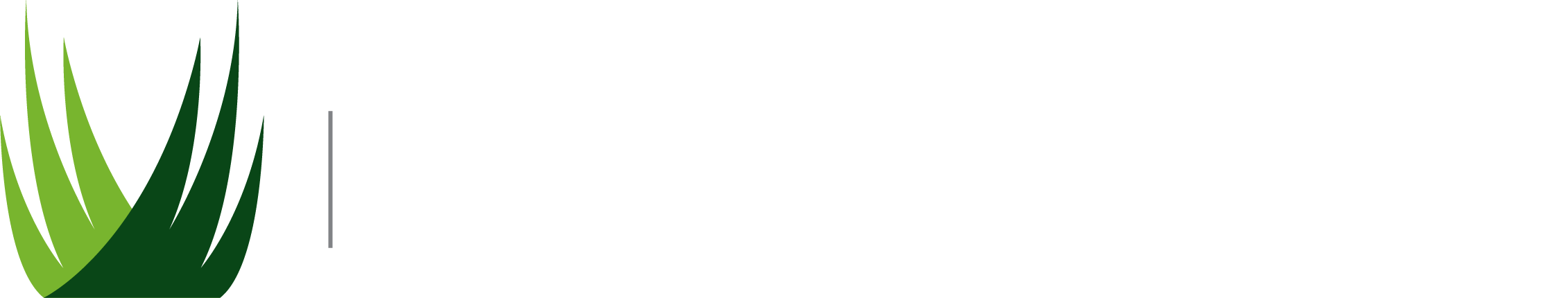 SYNLawn Samples